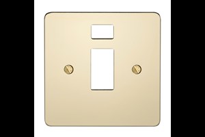 20A 1 Gang Double Pole Switch Plate With Neon Polished Brass Finish