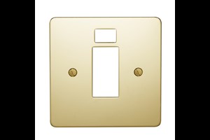 45A 1 Gang Double Pole Switch Plate With Neon Polished Brass Finish