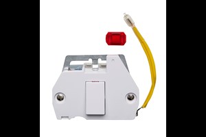 20A 1 Gang Double Pole Switch With Neon