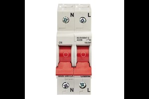 100A DP Main Switch with Tap Off Terminal