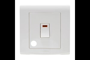20A Double Pole Switch & Neon with Flex Outlet
