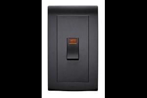 45A 2 Gang Double Pole Control Switch with Neon Black Finish