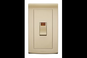 45A 2 Gang Double Pole Control Switch with Neon Gold Finish