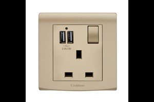 13A 1 Gang Switched Socket with USB Outlet (Total 2.1A) Gold Finish