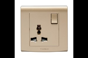 13A 1 Gang Switched
Multi-Function Socket Gold