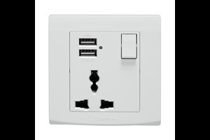 13A 1 Gang Multi Function Socket with 2 x Type A USB Ports