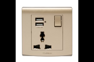 13A 1 Gang Multi Function Socket with 2 x Type A USB Ports Gold