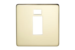 45A 1 Gang Double Pole Switch Plate With Neon Polished Brass Finish
