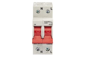 100A DP Main Switch with Tap Off Terminal
