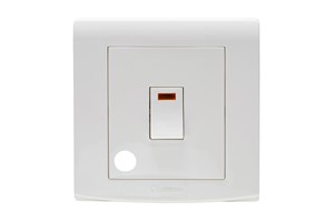 20A Double Pole Switch & Neon with Flex Outlet