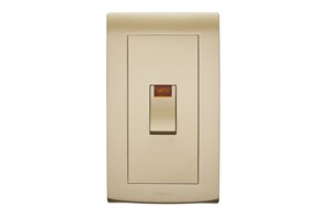 45A 2 Gang Control Switch with Neon Gold Finish