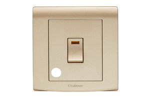 20A Double Pole Switch & Neon with Flex Outlet Gold Finish