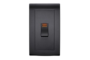 45A 2 Gang Double Pole Control Switch with Neon Black Finish