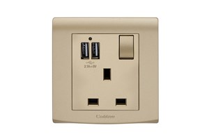 13A 1 Gang Switched Socket with USB Outlet (Total 2.1A) Gold Finish